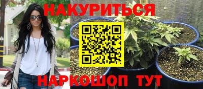 индика Краснознаменск