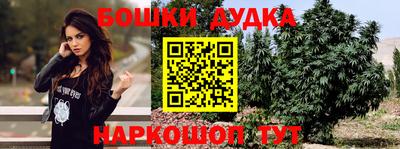 индика Краснознаменск