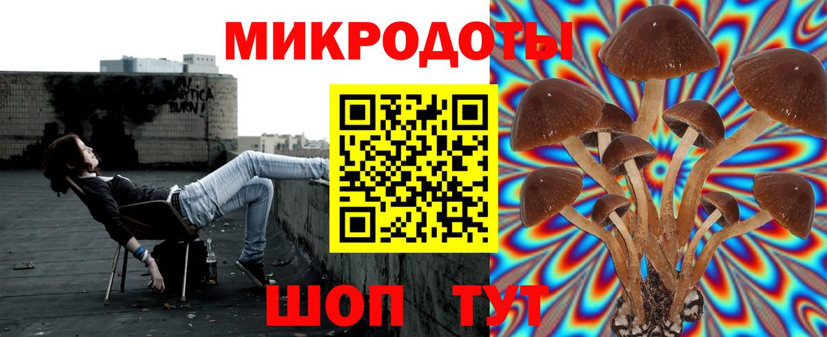 Тосно  Псилоцибиновые грибы мицелий  Псилоцибиновые грибы мухоморы  Вход с VPN 