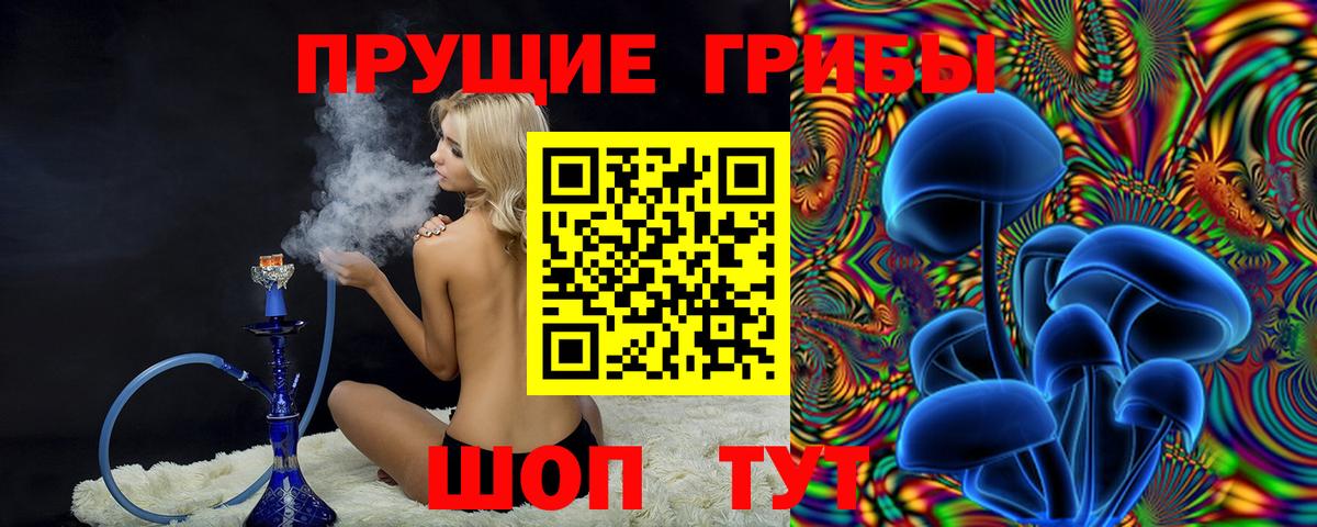 Псилоцибиновые грибы Psilocybine cubensis Тосно